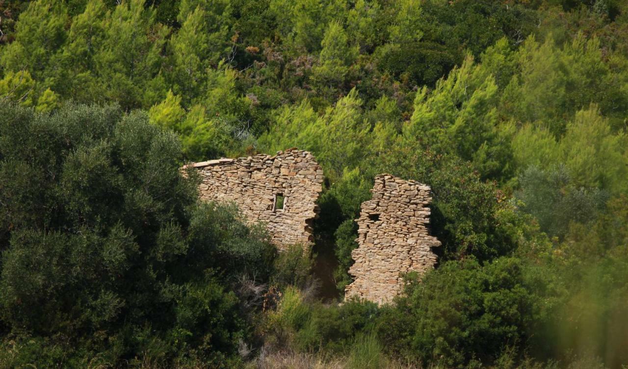 Simple Home La Cadiere-d'Azur Eksteriør billede